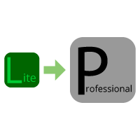 Upgrade Lite to Professional